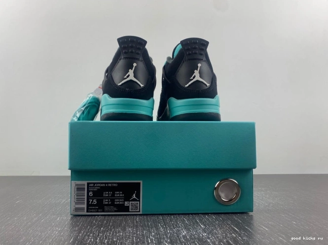 Air Jordan 4 DH6927-001 0811